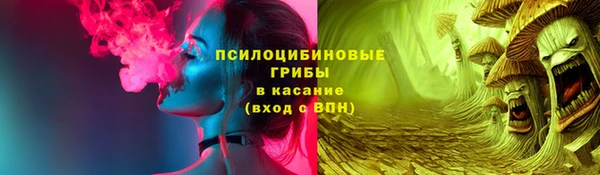 спиды Инсар