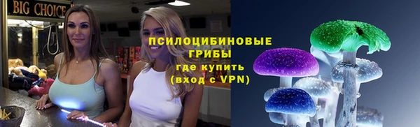 спиды Инсар