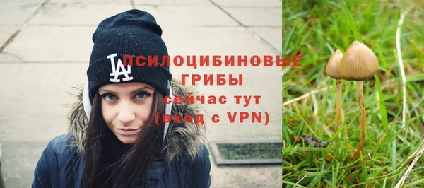спиды Инсар